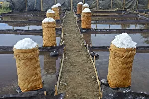 Images Dated 30th July 2014: Harvested sea salt, packed to dry, known as Fleur de Sel, North Bali, Bali, Indonesia