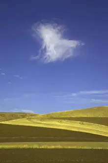 Harvesting Prints: Harvested wheat fields, Palouse Hills, WA