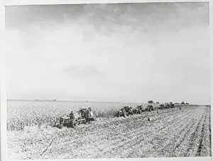 Harvester Machines in Field