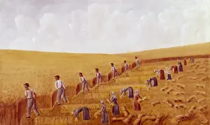 Harvesting