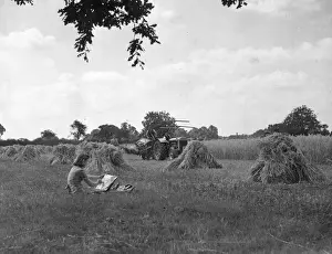 Harvesting