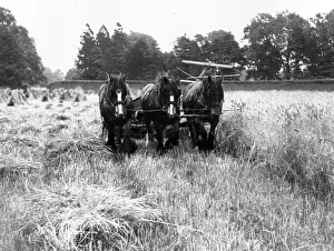 Harvesting