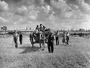 Felix Man Prints: Harvesting