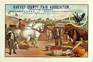 Bull Prints: Harvey County Fair Association