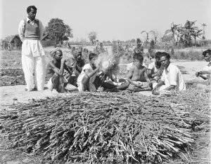 Kathmandu Prints: Hashish Farm Workers On A Smoke Break