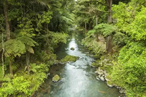 Images Dated 1st November 2013: Hatea River, the river just below Whangerai Falls. Whangerei, Northland, North Island, New Zealand