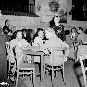 Havana Nights