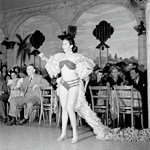 Havana Nights