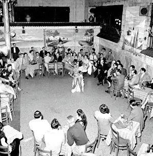 Havana Nights