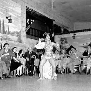Havana Nights