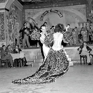 Havana Nights