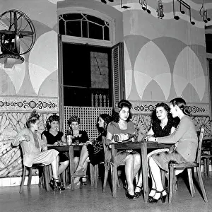Havana Nights