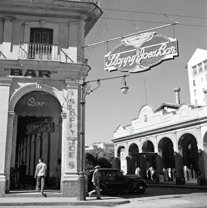 Havana Nights