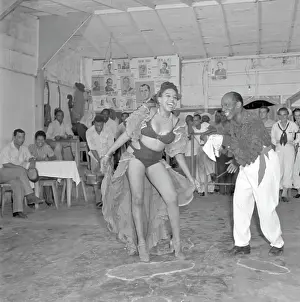 Havana Nights