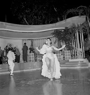 Havana Nights