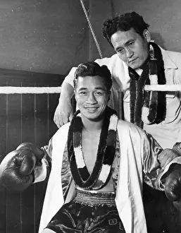 Hawaiian Boxer