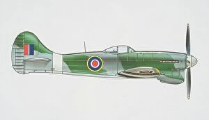 Dorling Kindersley Prints Collection: Hawker Tempest Mark V military Plane, side view