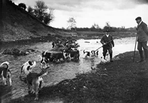 Topical Press Agency Collection: Hawkstone Hounds
