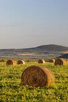 Images Dated 28th August 2012: Hay bales in field, International Appalachian Trail, Merrill, Aroostook County, Maine, USA