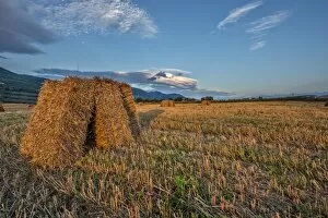 Images Dated 26th August 2014: Hay bales in the fields, Gubbio, Umbria, Italy