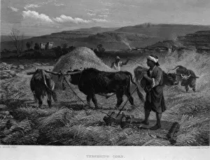 Hay Baling