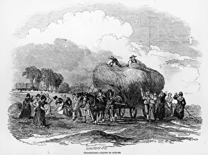Engravings Gallery: Hay Harvest