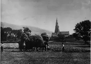 Occupations H Prints: Hay Making
