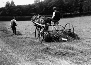 Rake Prints: Hay Raking