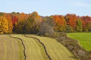 Images Dated 11th October 2011: Hayfield being harvested in autumn, Abercorn, Quebec, Canada