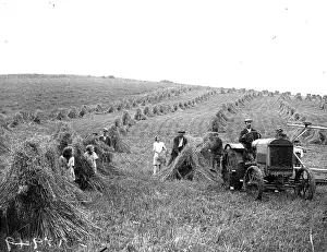 Tractor Prints: Haymaking