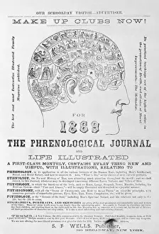 Head From 1869 Phrenological Journal