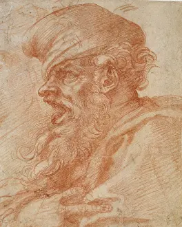Michelangelo Prints: Head Of A Bearded Man Shouting
