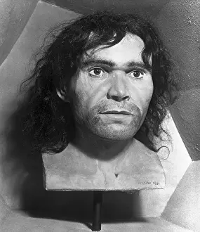 Anthropology Prints: Head of Cro-Magnon