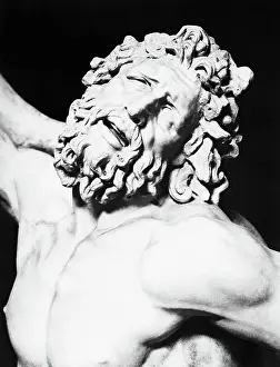 Detail of the Head of Laocoon from The Laocoon Group