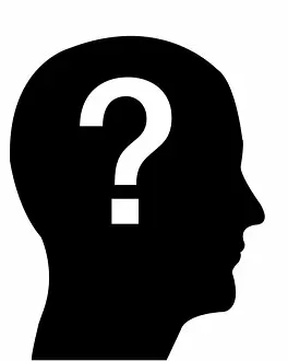 Images Dated 21st April 2010: Head in profile with a question mark, illustration