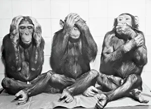 Hand Over Mouth Prints: Hear No Evil, See No Evil, Speak No Evil