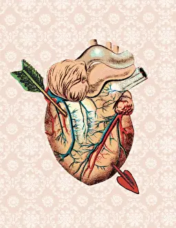 Cupid Prints: Heart with arrow