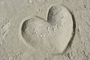 Images Dated 25th August 2012: Heart made of sand with the word LOVE made of shells, St Peter-Ording, Schleswig-Holstein, Germany