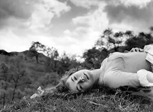 Heather Sears