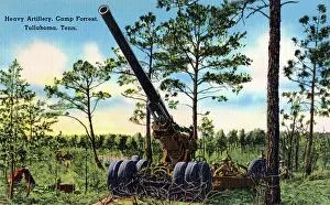 Training Prints: Heavy artillery, Camp Forest