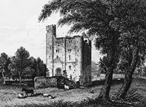 Images Dated 19th October 2011: Hedingham Castle