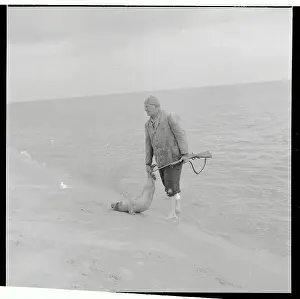 Seal Prints: Heinrich von Holdt Holding a Seal He Shot