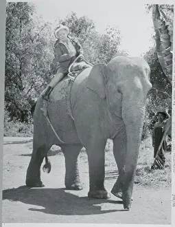 Helen Hayes Riding an Elephant