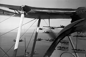 Roles And Prints: Hell Cat Fighters