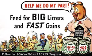 Wwii Prints: Help me do my Part!