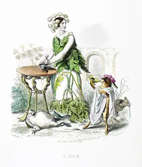 Grandville Prints: Hemlock flower - Stunning Hand-colored plate from 'Les Fleurs Animees by J