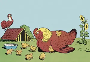 Rooster Prints: Hen and Chicks