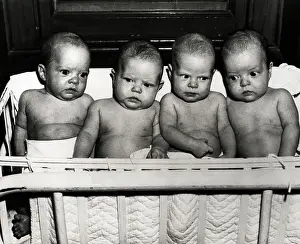 The Henn Quadruplets as Infants