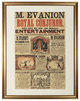 Gado Posters Prints: Henry Evanion Poster