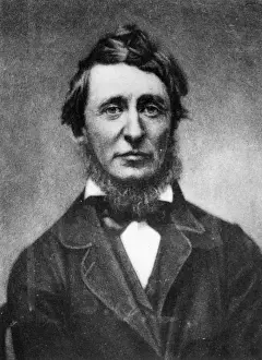 Portrait Male Facial Prints: Henry Thoreau